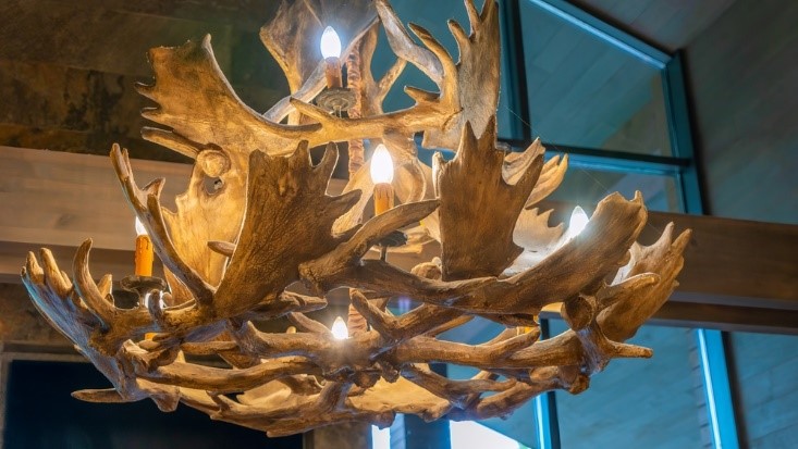 Enhance Your Dining Room with Elk Antler Lights